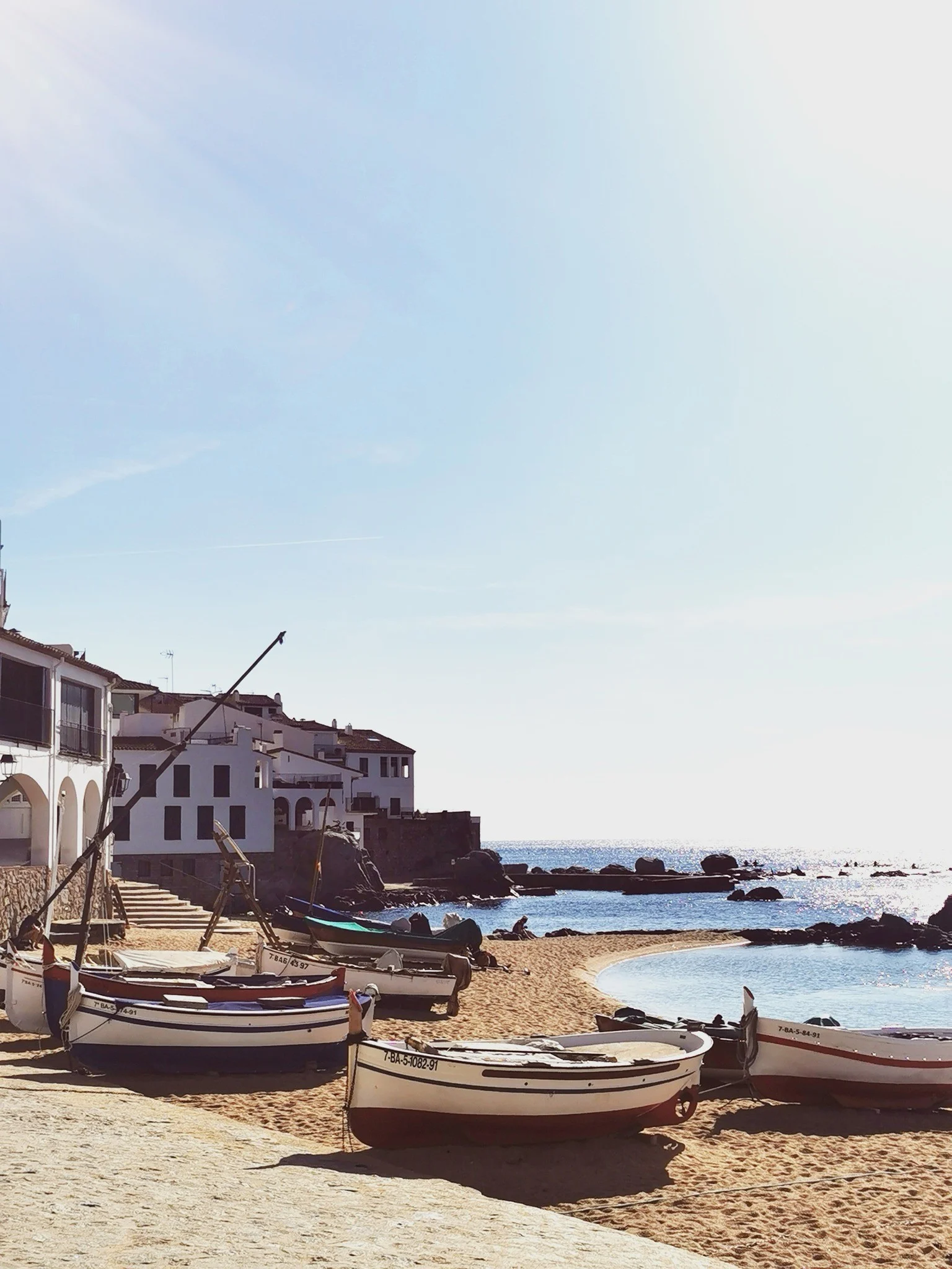 555896035 10235476061156618 7111454649547415957 n