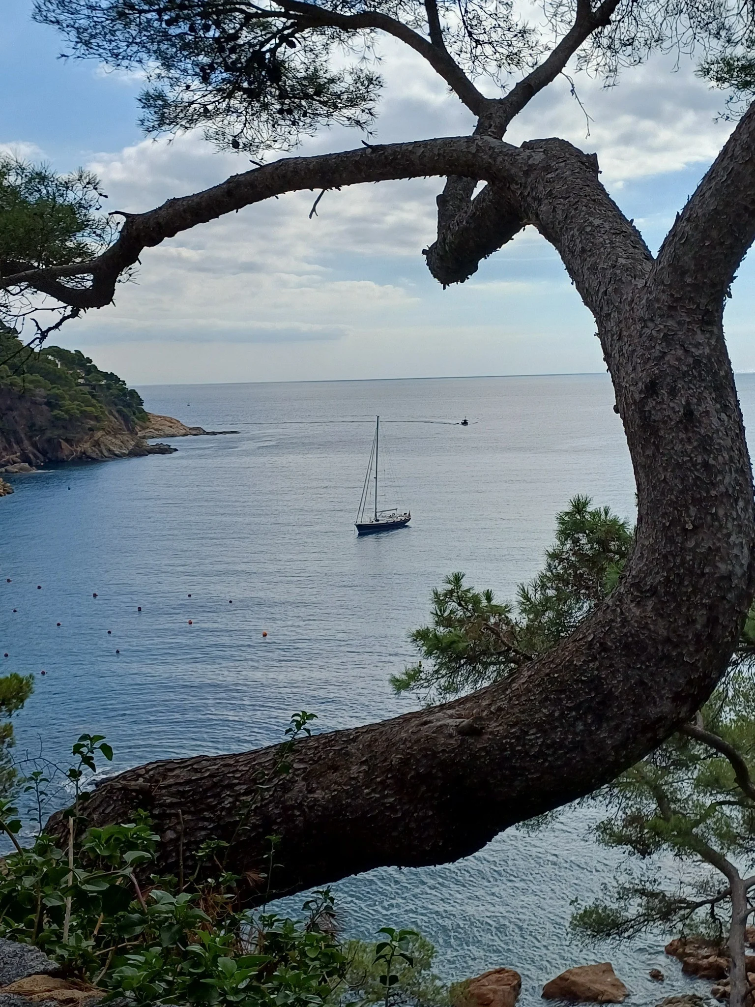 556023780 10235259250094567 2692076285309108214 n