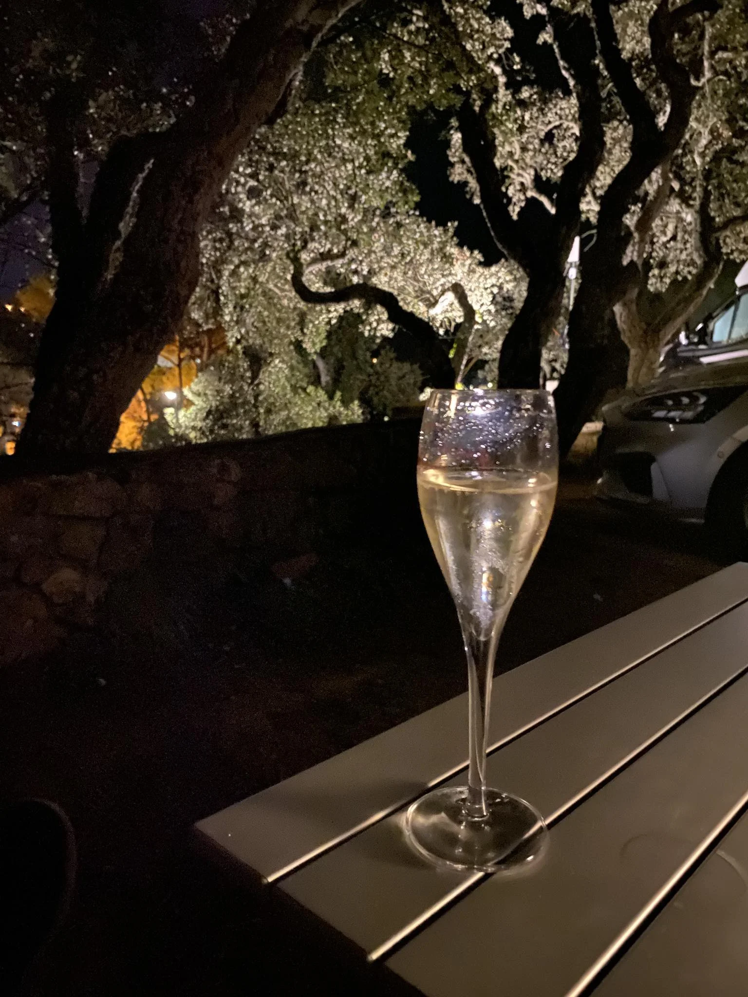 556072016 25883273204595344 7767466251366018598 n